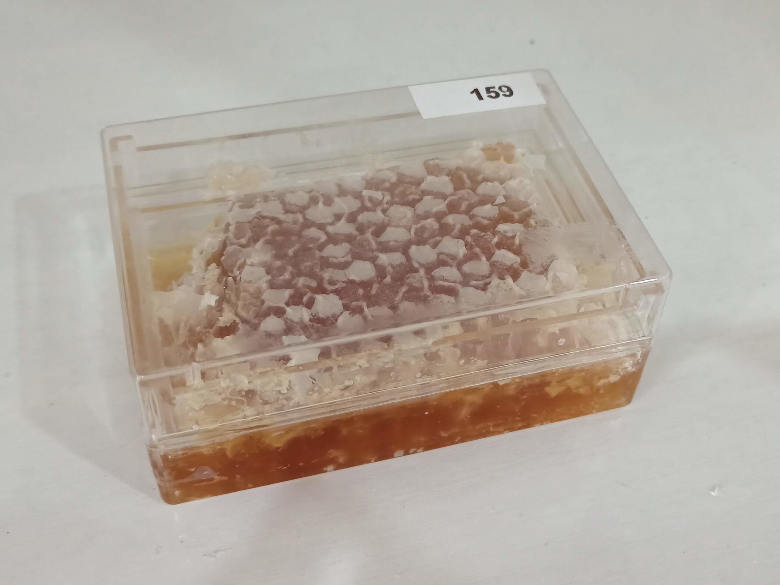 Plastic box of fresh honey comb